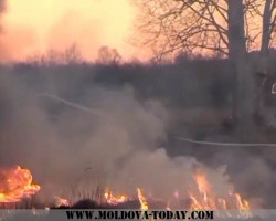 Лесные пожары в Молдове