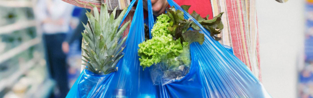 Власти предложили заменить пластиковые пакеты на биопакеты