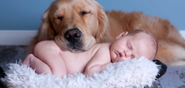 Почему сон с домашними животными полезен?