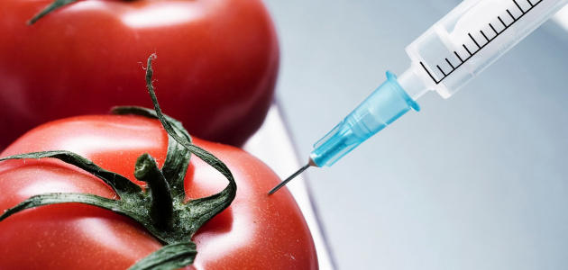 ГМО абсолютно безвредны?