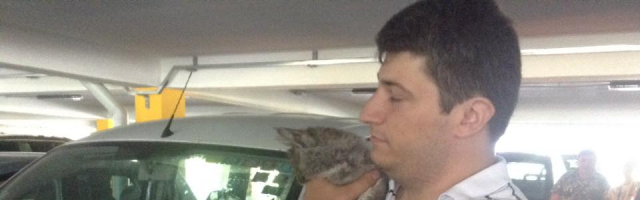 На стоянке в Кишиневском аэропорту в машине три дня был заперт кот