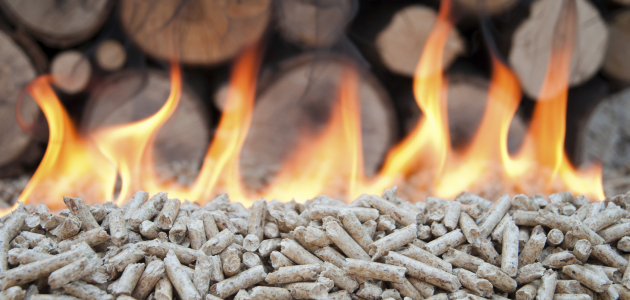 Sisteme pe biomasă vor fi instalate anul acesta în cadrul Proiectului Energie și Biomasă