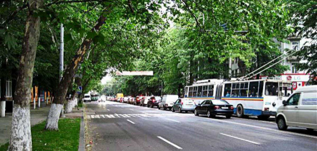 На бульваре Штефана чел Маре будут вырублены еще 250 деревьев