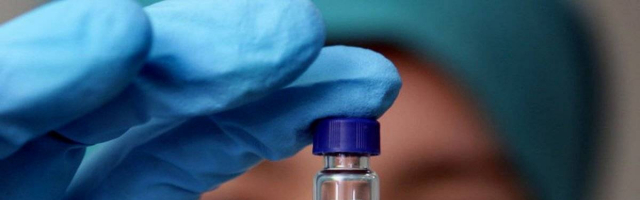 На севере страны обнаружили вирус свиного гриппа