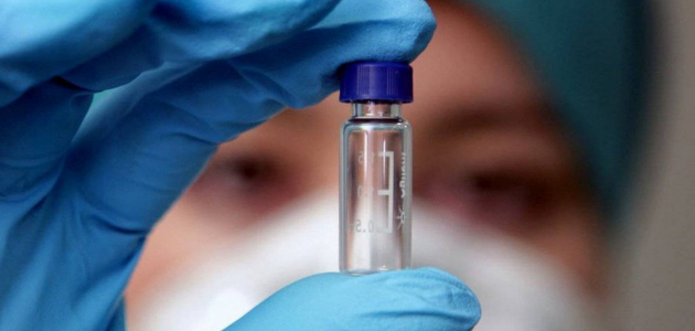 На севере страны обнаружили вирус свиного гриппа
