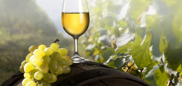 Изменения и дополнения в закон о винограде и вине