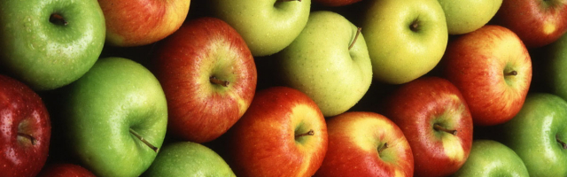 Российско–казахстанская граница не пропустила 170 тонн молдавских яблок