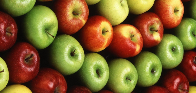 Российско–казахстанская граница не пропустила 170 тонн молдавских яблок