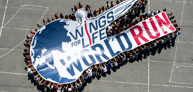 Moldova va participa la cursa mondială Wings for Life World Run