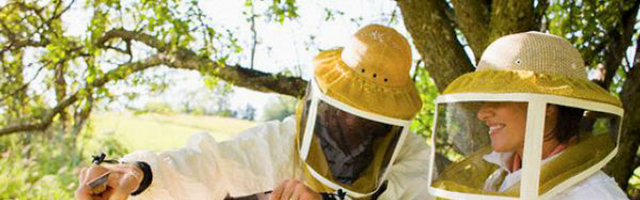Льготный режим для пчеловодов Приднестровья