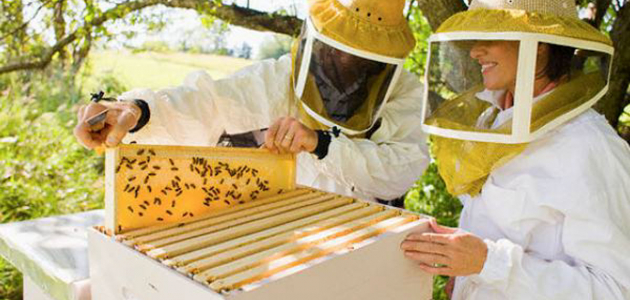 Льготный режим для пчеловодов Приднестровья