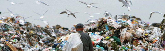 Власти обещают вывести мусор до четверга