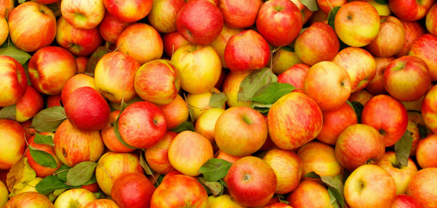 В 2017 году в мире ожидается самый слабый урожай яблок