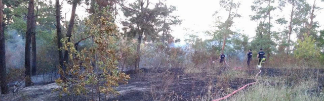 Incendiu în pădurea care desparte sectoarele Râșcani și Ciocana
