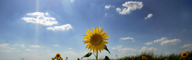 До 10 сентября в стране объявлен желтый уровень метеоопасности