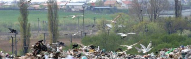 Incendiu la gunoiştea din Ialoveni