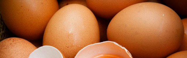 В 45 странах мира обнаружили яйца с токсинами