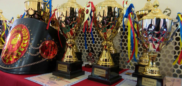 Moldova a cucerit patru medalii la Mondialele de arte marțiale