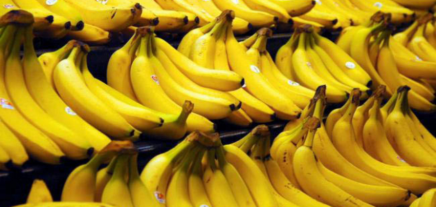 Culturile de banane, afectate de un virus care circulă în întreaga lume
