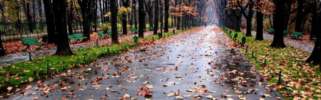 О погоде в Молдове на сегодня и выходные