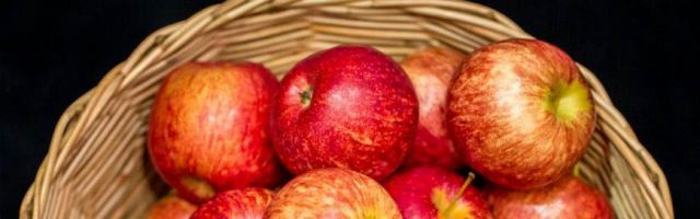 Количество экспортированных яблок в Россию оказалось рекордным
