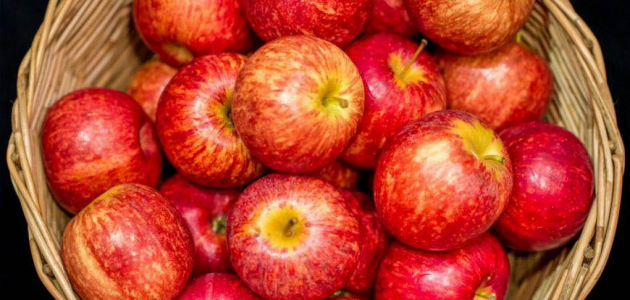 Количество экспортированных яблок в Россию оказалось рекордным