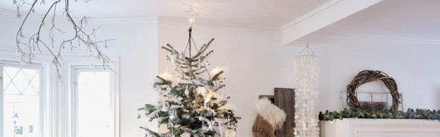 Как сохранить живую новогоднюю елку подольше