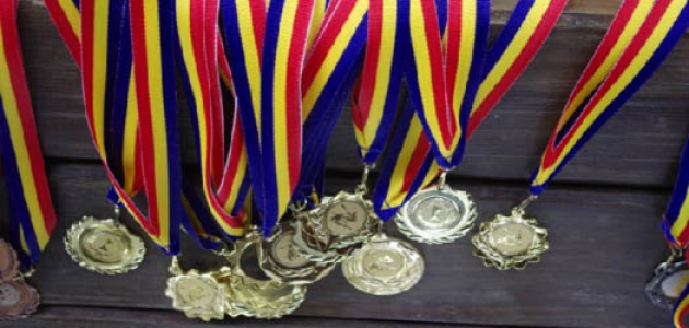 Молдавские спортсмены завоевали в 2017 году более 160 медалей