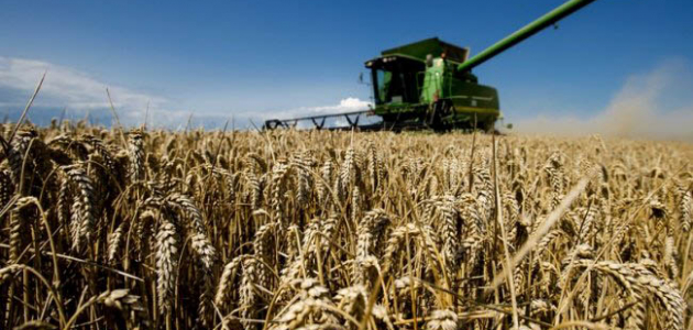 Guvernul va aloca 8 milioane de lei agricultorilor din Transnistria