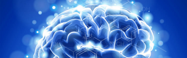 Нейробиологи считают что нормального мозга не бывает