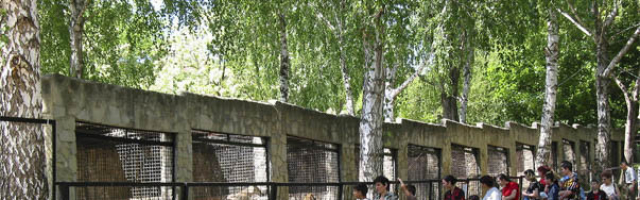 Столичный зоопарк закрывают на ремонт