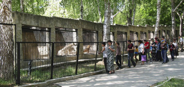 Столичный зоопарк закрывают на ремонт