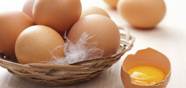 Как определить свежесть яиц по их внешнему виду