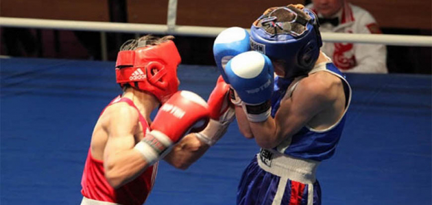 Молдавские боксёры занимают призовые места