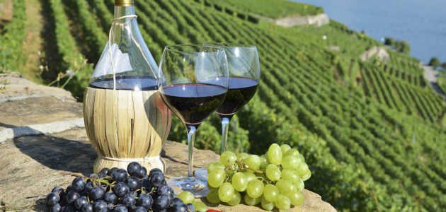 Молдова и Италия будут сотрудничать в области виноделия