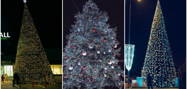 Пятого декабря в Кишиневе появится елка