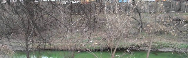В Молдове хотят очистить реку Бык