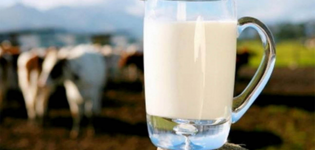 Guvernul a aprobat noi cerințe de calitate pentru produsele lactate
