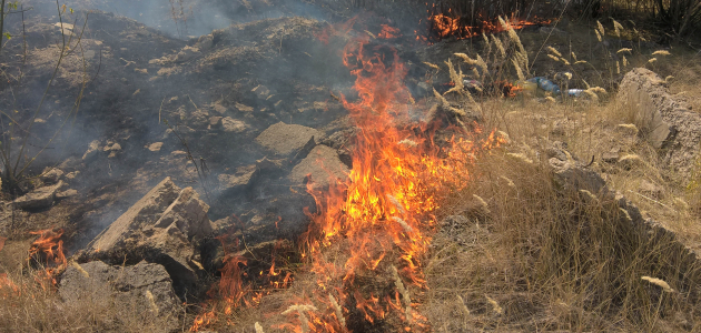 Пожары по Молдове: горит сухая трава!