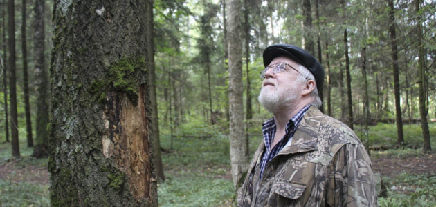 “Молдсильва” начала борьбу с лесными вредителями