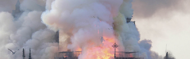 Пожар в Нотр-Даме назвали «спланированным преступлением»
