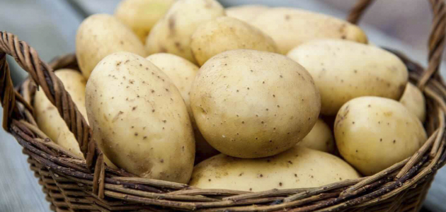 Беларусь увеличила экспорт картофеля в Молдову