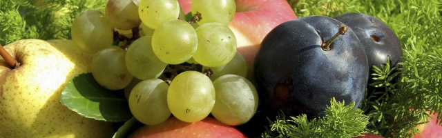 Продавцы сливы и столового винограда получат финансовую помощь