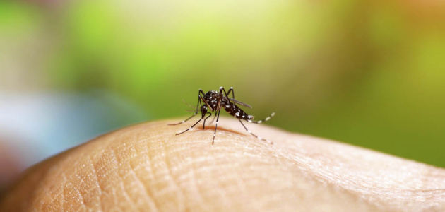В Украине нашли случай заражения малярией