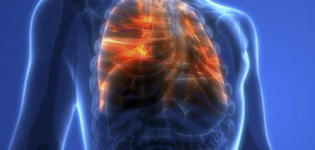 Radiografiile la plămâni: сât de des se pot face?