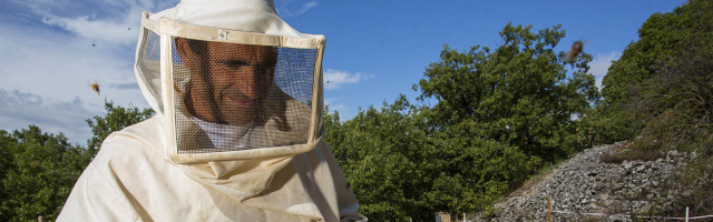 Молодежь Молдовы изучит пчеловодство