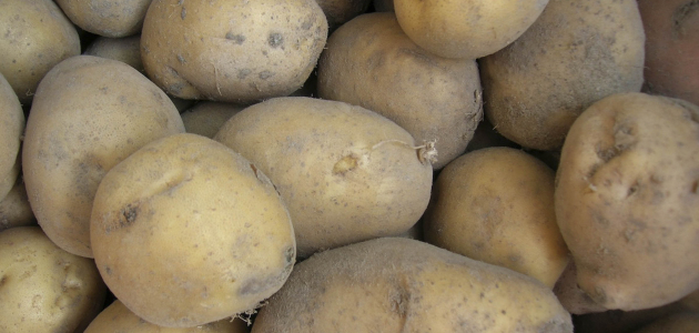 В Молдову не пустили товар с картофелем из Турции