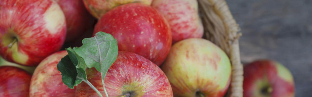 Фермеры Молдовы собрали хороший урожай яблок