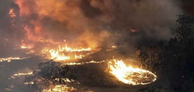 Австралии необходимо $1,4 млрд на восстановление после пожаров