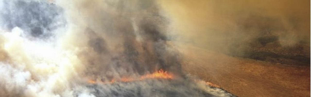 Fumul de la incendiile din Australia va traversa în curând tot Pământul